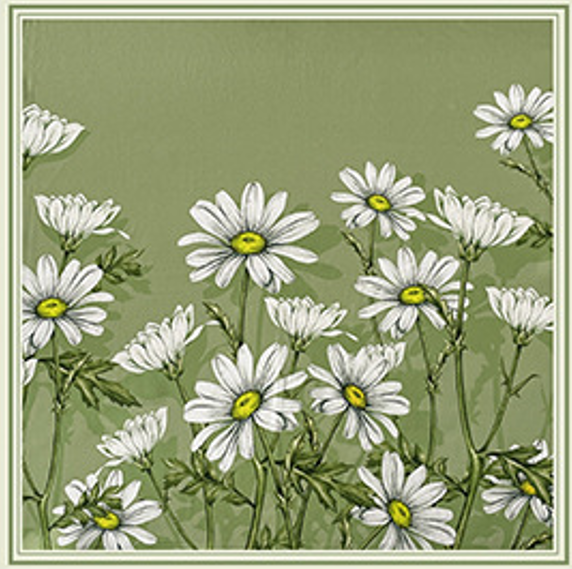 inRealSilk Green Daisy 53cm*53cm Print 100% Small Square Silk Scarf Neckerchiefs&Bandana